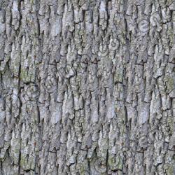 Seamless Bark 0001